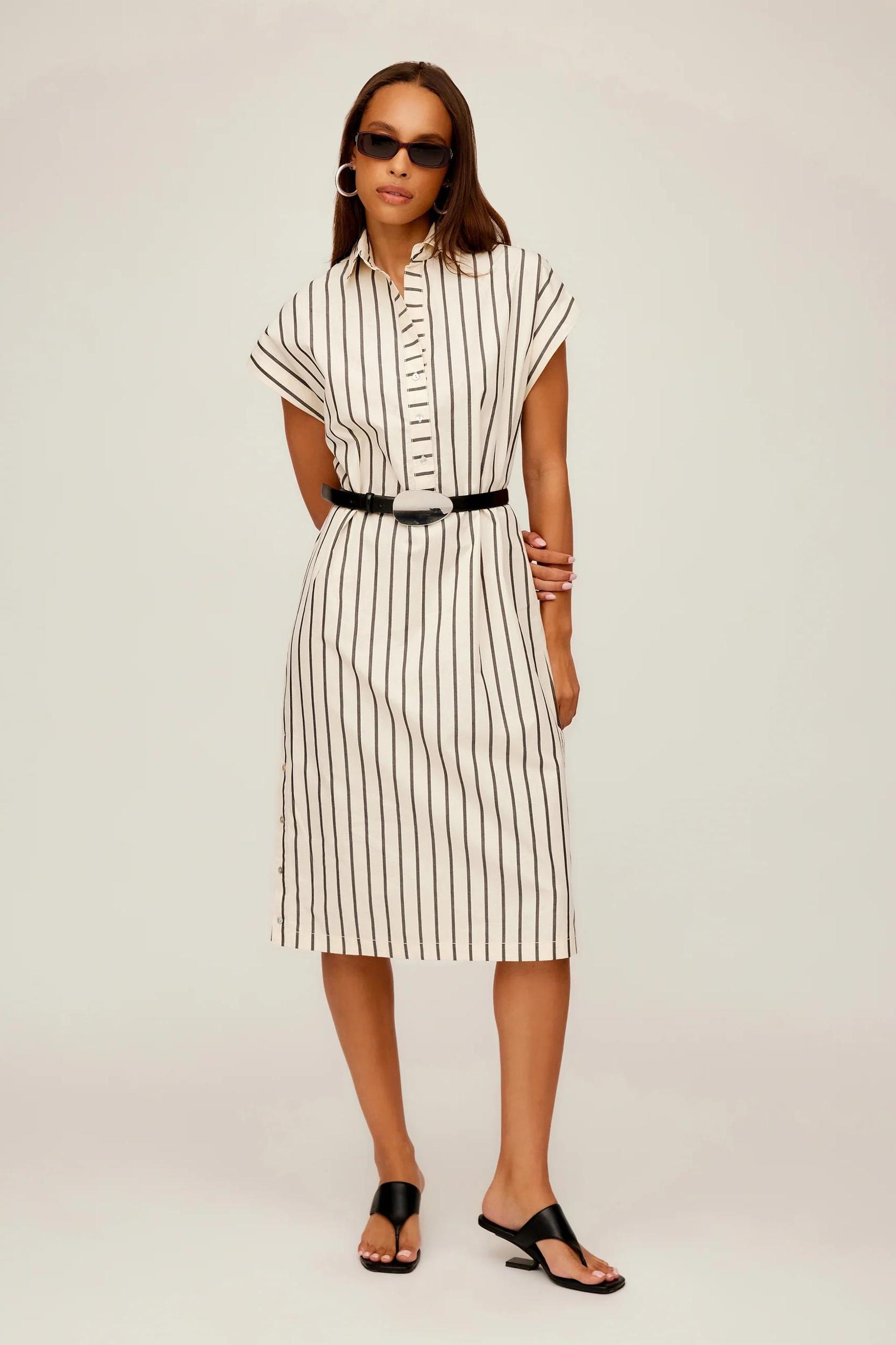 Lucia Stripe Dress Product Image