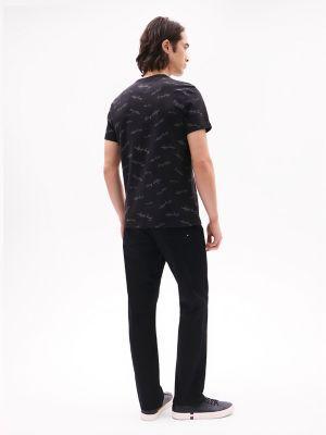Signature Flag Stripe Logo T-Shirt Product Image