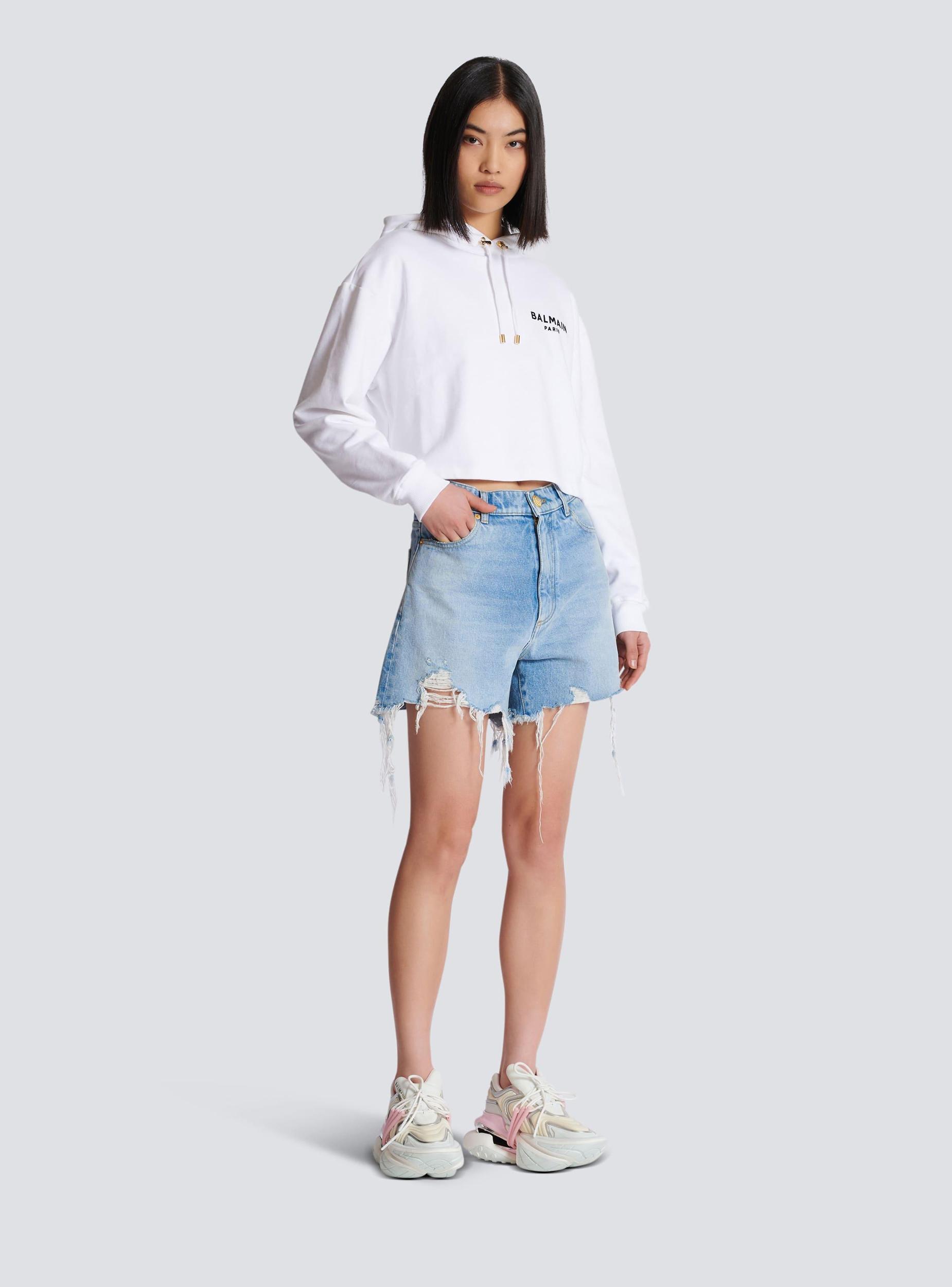 Flocked Balmain Paris hoodie Product Image