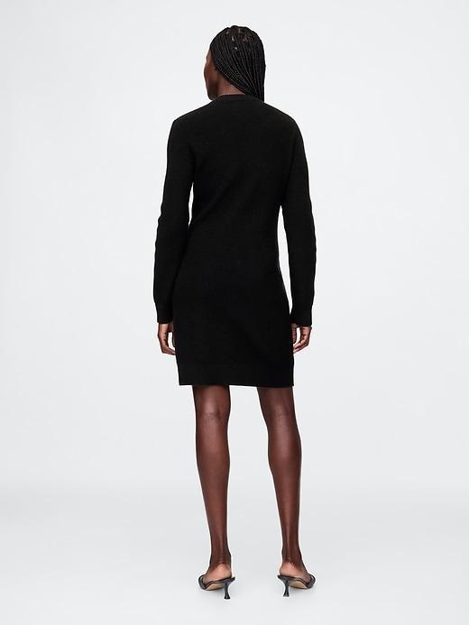 Shaker-Stitch Mini Sweater Dress Product Image