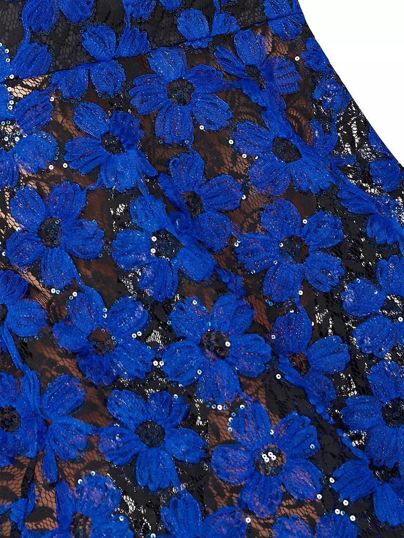 Tahlia Embroidered Mesh & Tulle Dress Product Image