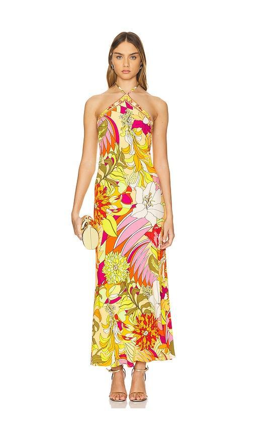 Long Halter Dress Camilla Product Image