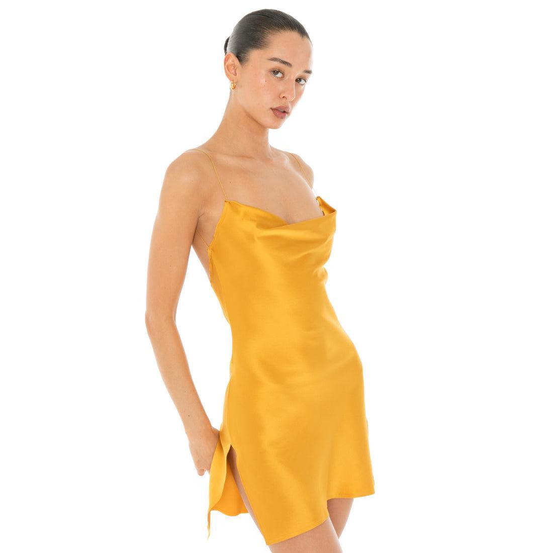 Nique Mini Dress Product Image