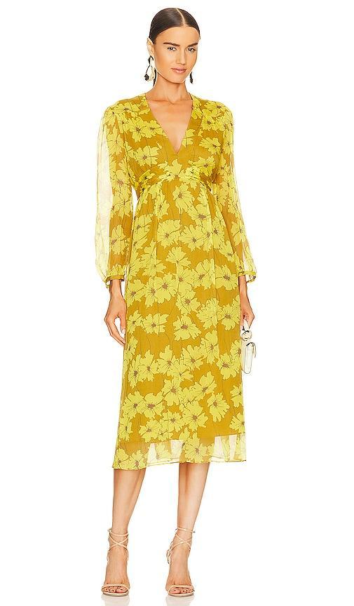 Kaz Dress Joie Product Image