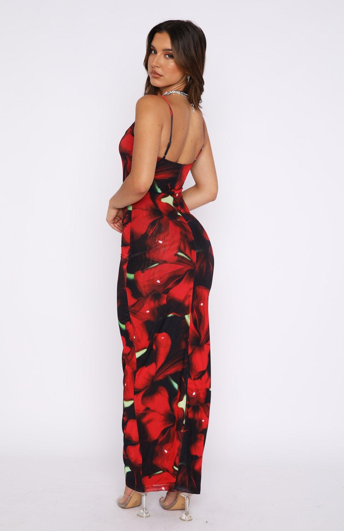 Same Heart Mesh Maxi Dress Red Hibiscus Product Image
