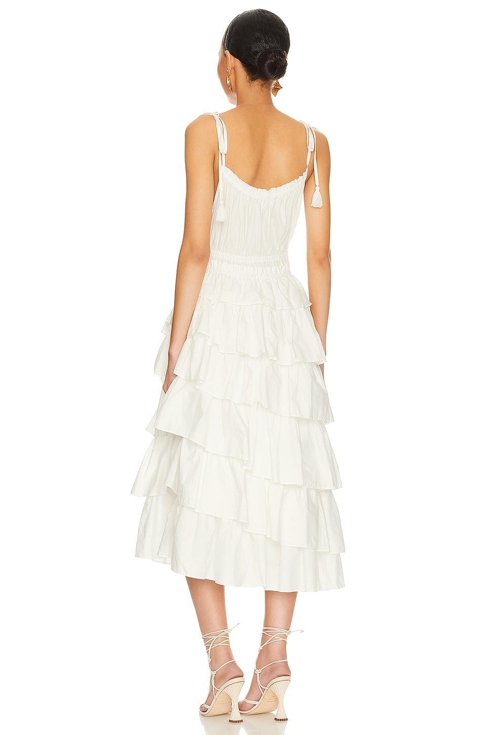 Mireya Midi Dress Steve Madden Product Image