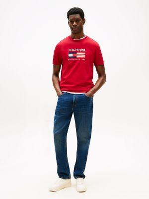 Lightweight Jersey Standard Raglan T-Shirt Male Product Image