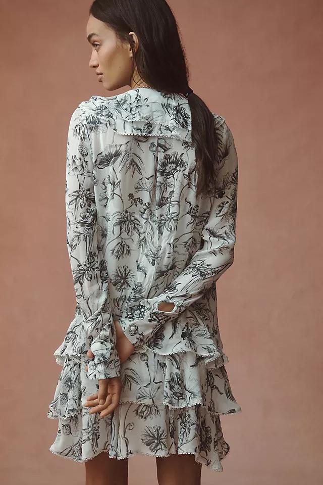 The Betsy Long-Sleeve Tiered Mini Dress Product Image