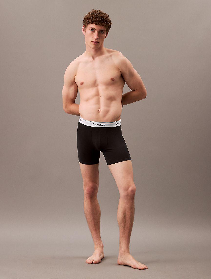 Icon Cotton Stretch 3-Pack Boxer Brief Product Image