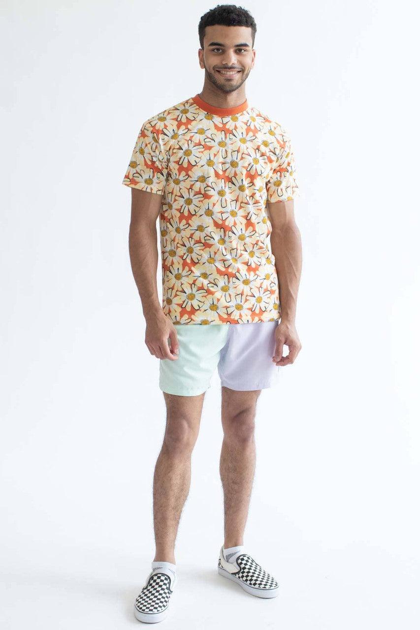 Pastel Purple & Mint Color Blocked Swim Shorts Product Image