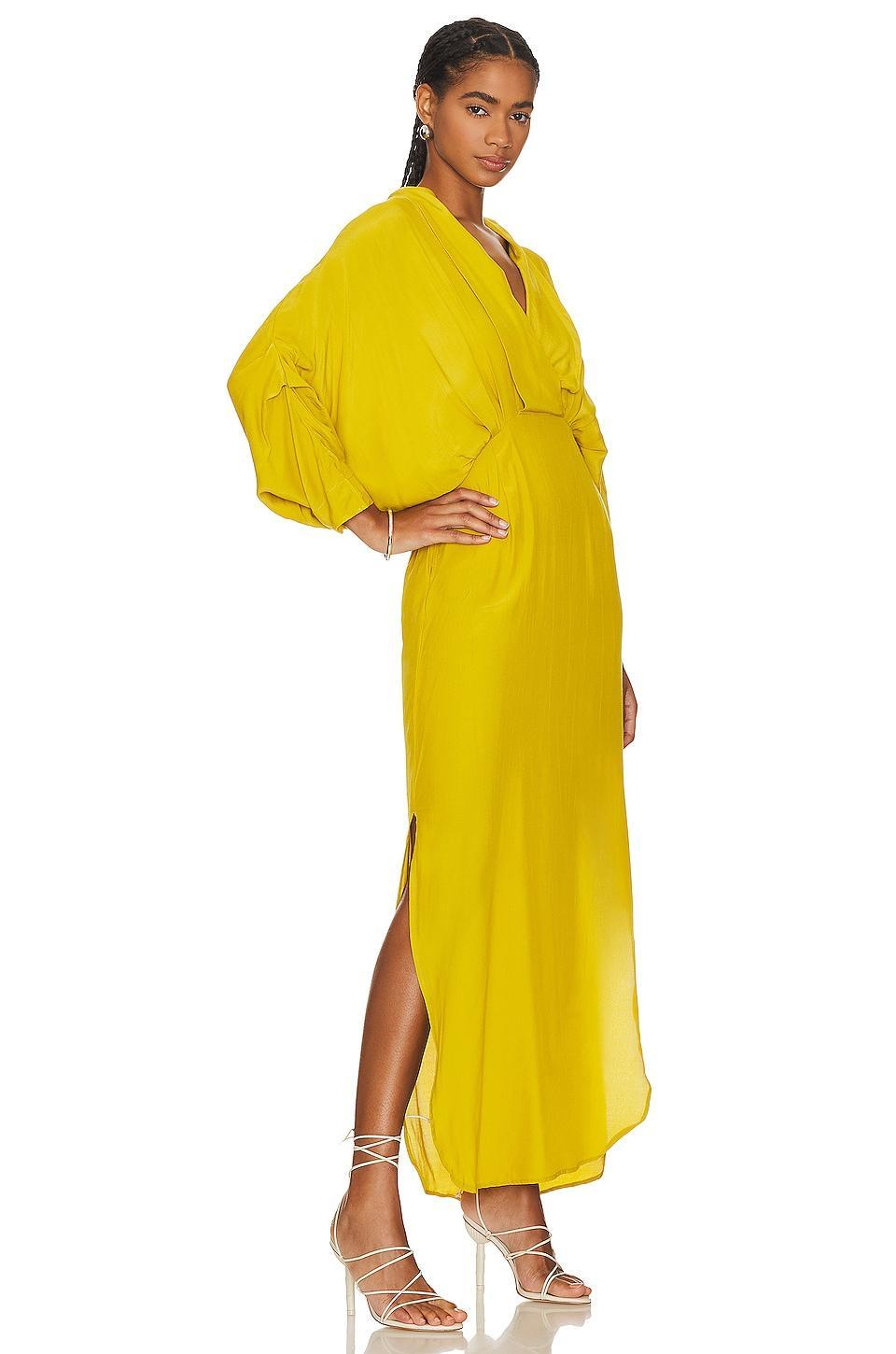 Plunge Dress SWF Product Image