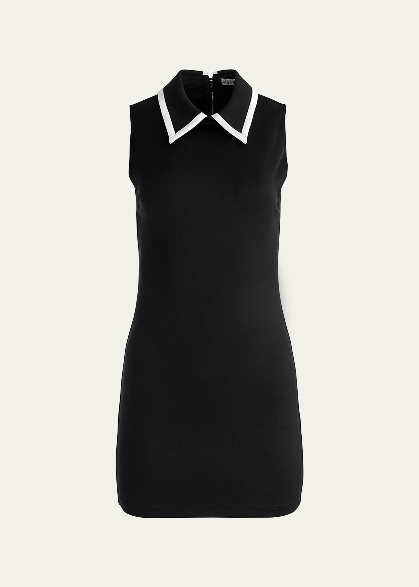 Wynell Collared Mini Dress Product Image