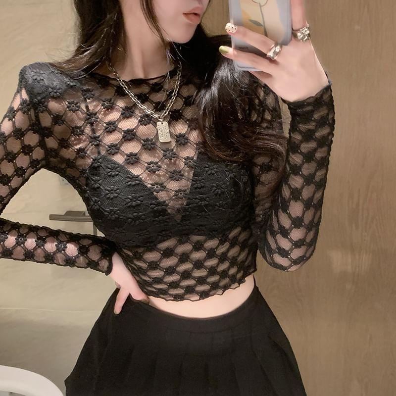 Long Sleeve Crew Neck Plain Lace Crop Top Product Image