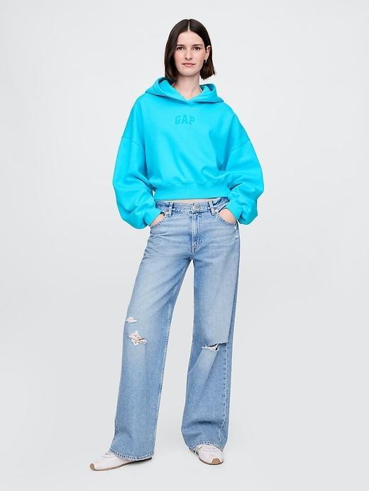 VintageSoft Arch Logo Cropped Hoodie Product Image