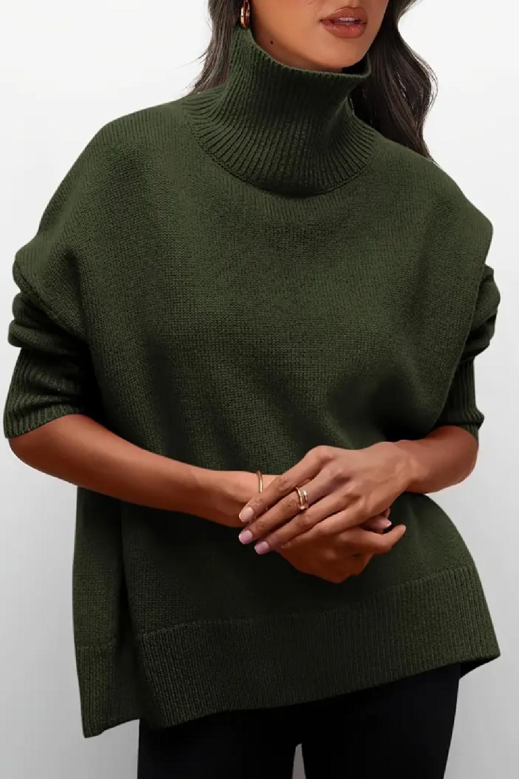 Saundra Ribbed Knit Turtleneck Product Image