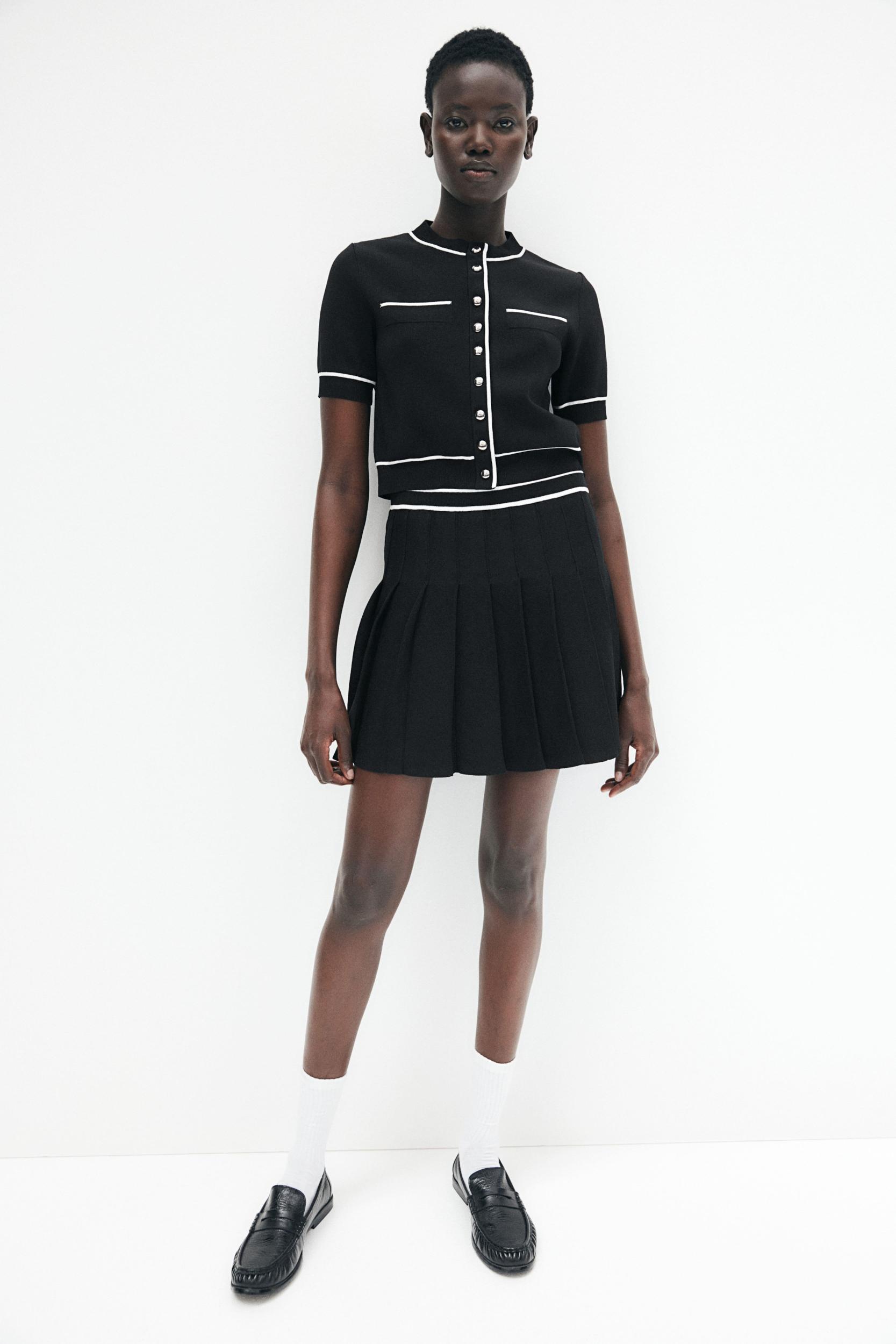 Pleated Skirt Product Image