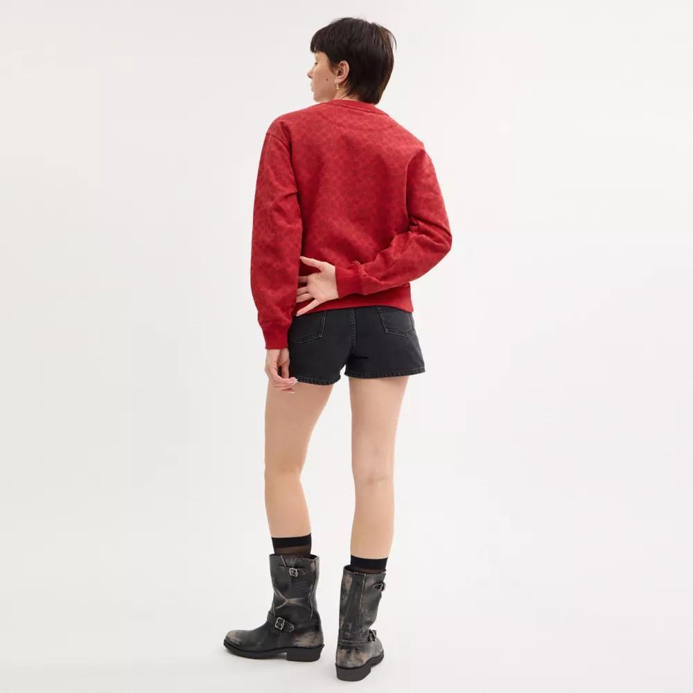 Signature Pegasus Sweatshirt Product Image
