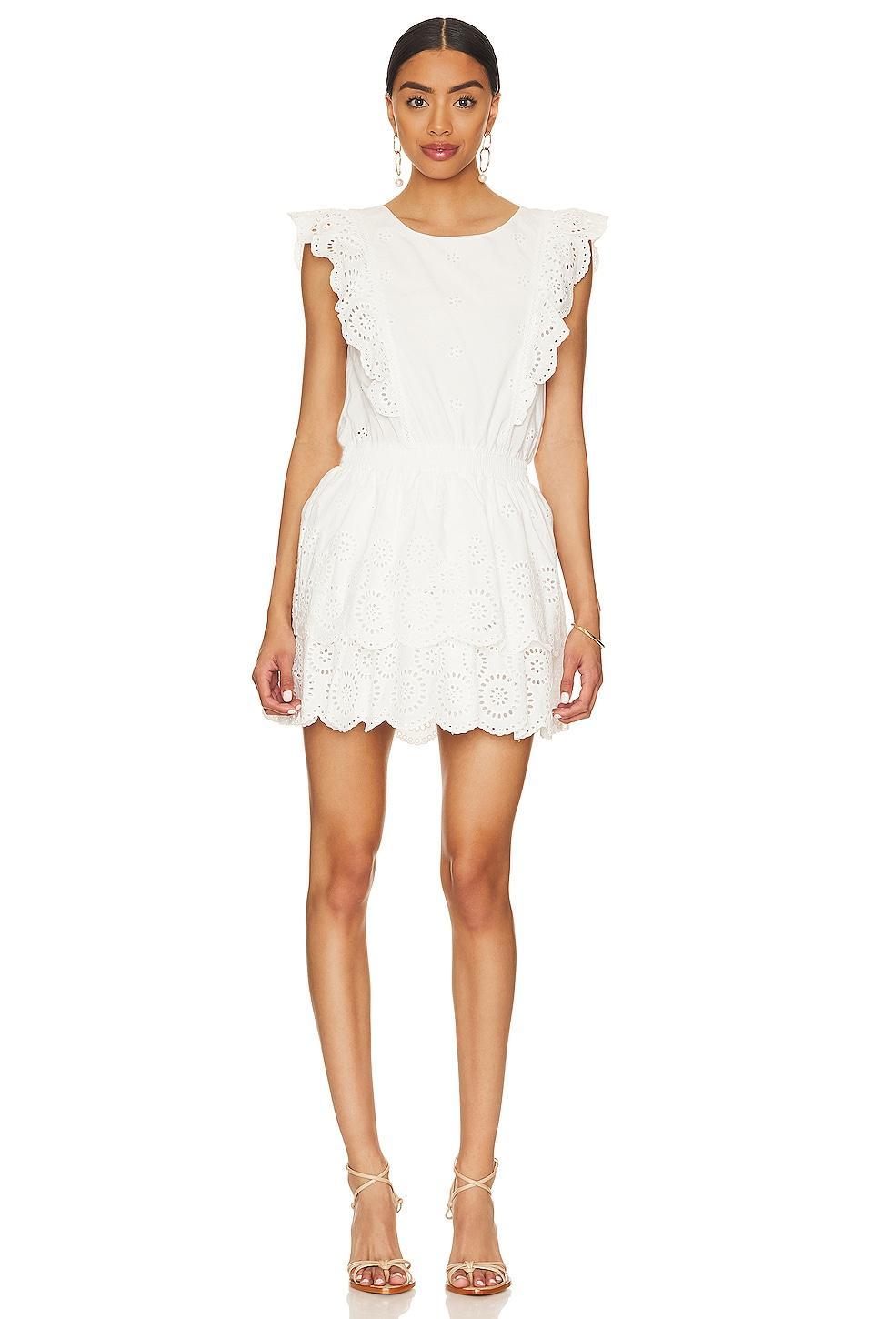 Jayda Dress Steve Madden Product Image