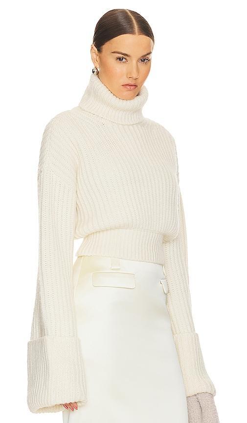 Helsa Esti Turtleneck Sweater Product Image