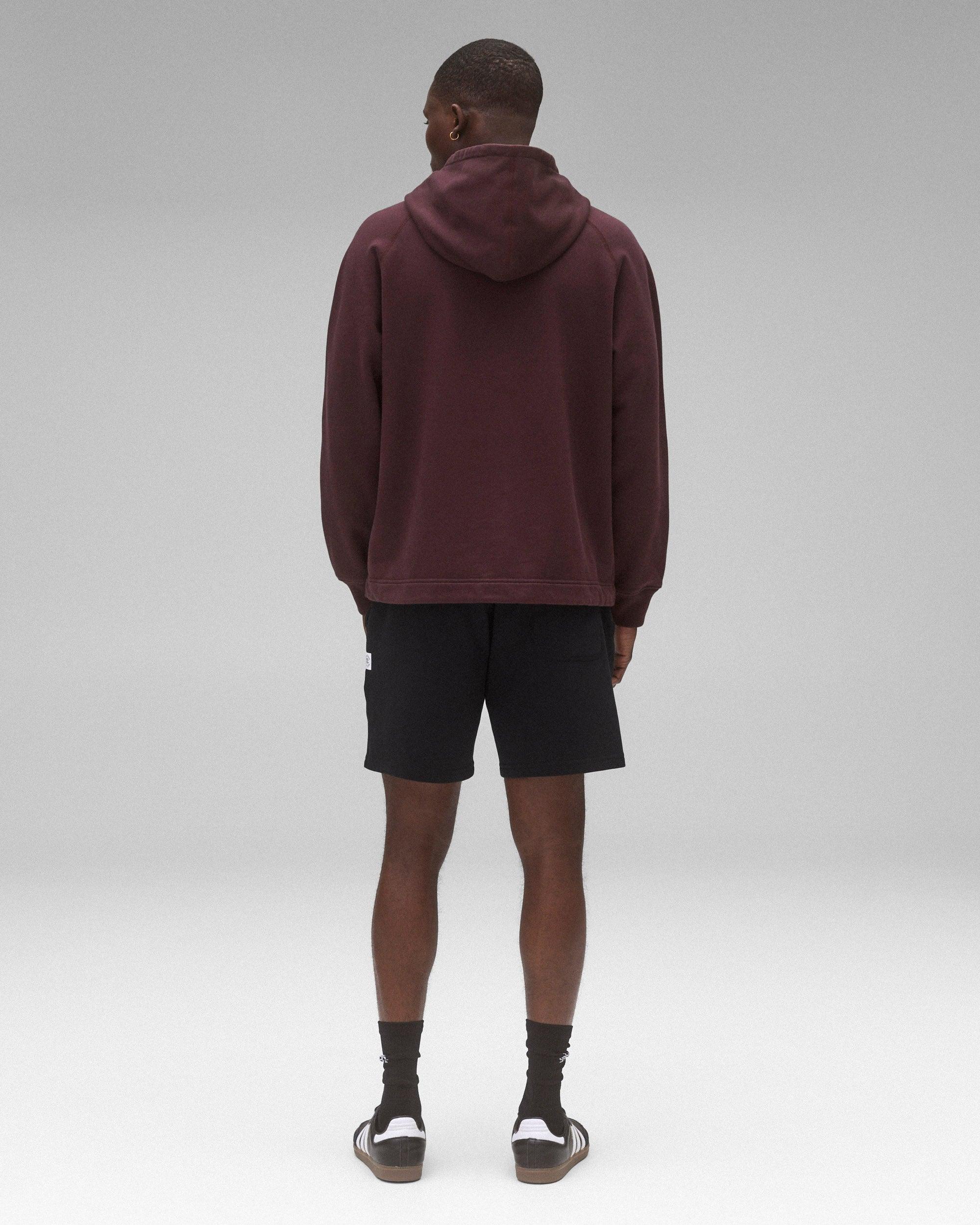 Midweight Terry Half Zip Standard Hoodie Male Product Image