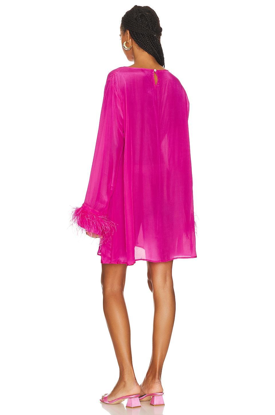 Eve Mini Dress Shani Shemer Product Image