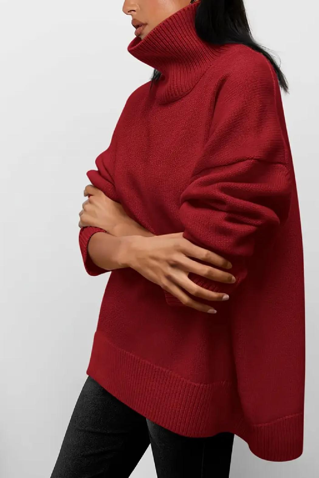 Saundra Ribbed Knit Turtleneck Product Image