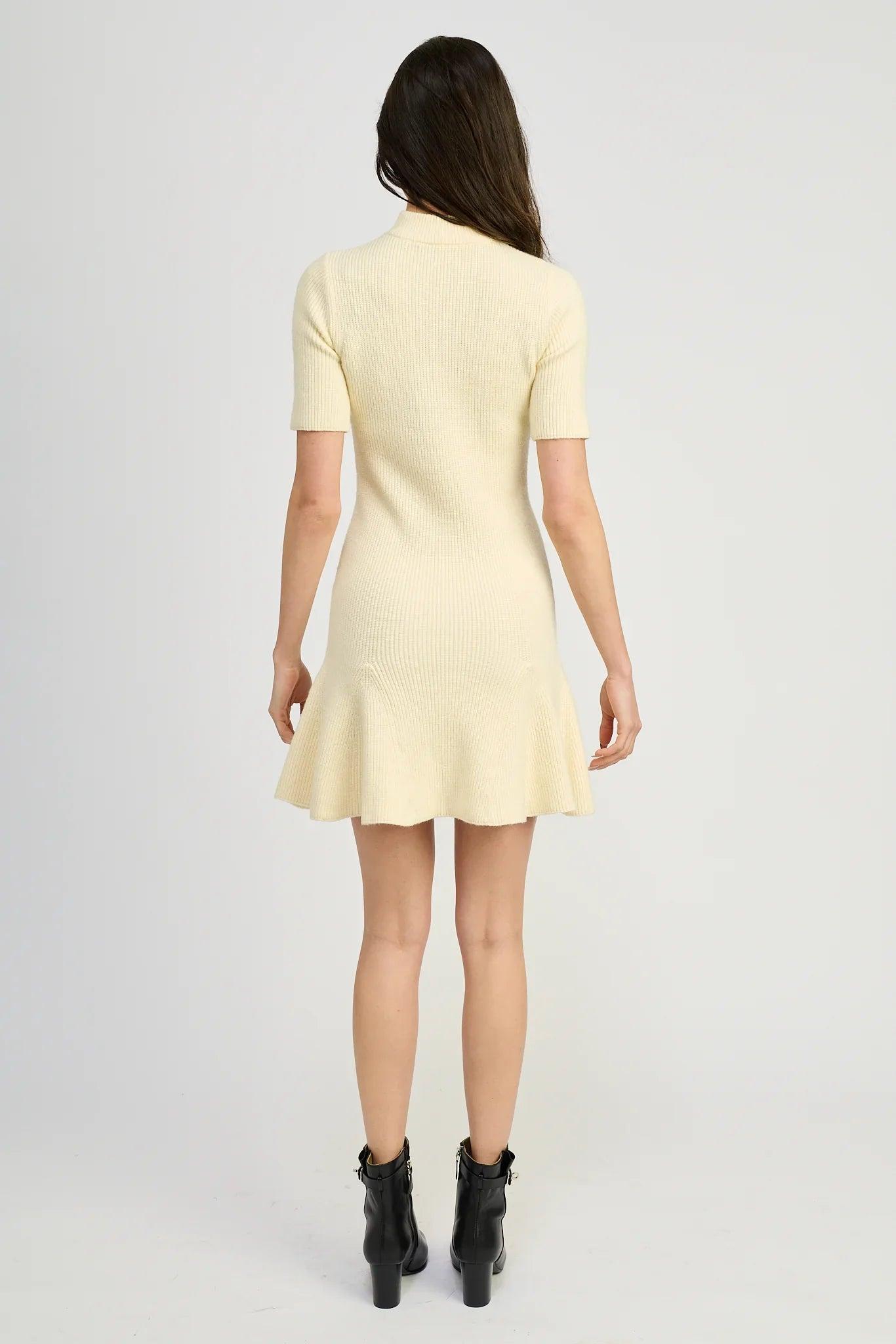 Alina Mini Dress Product Image
