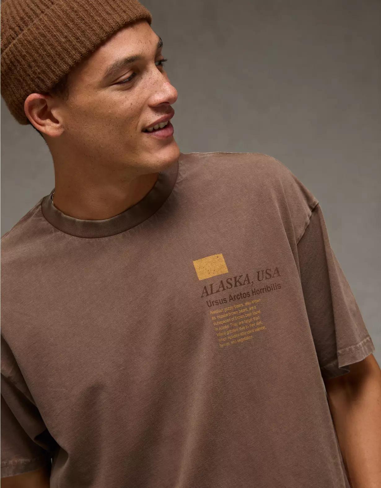 AE Boxy Destination Graphic T-Shirt Product Image