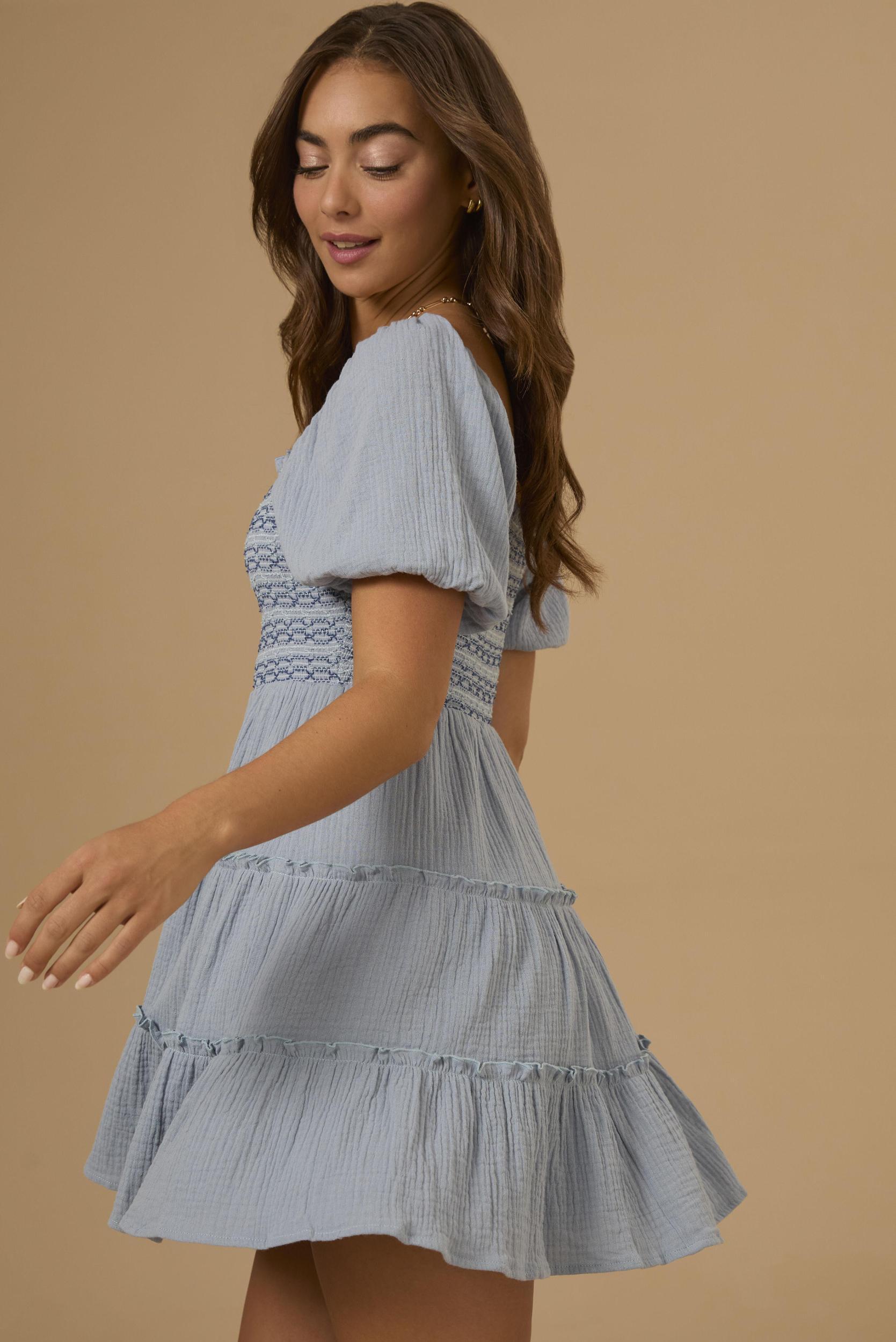 Mallie Embroidered Mini Dress Product Image