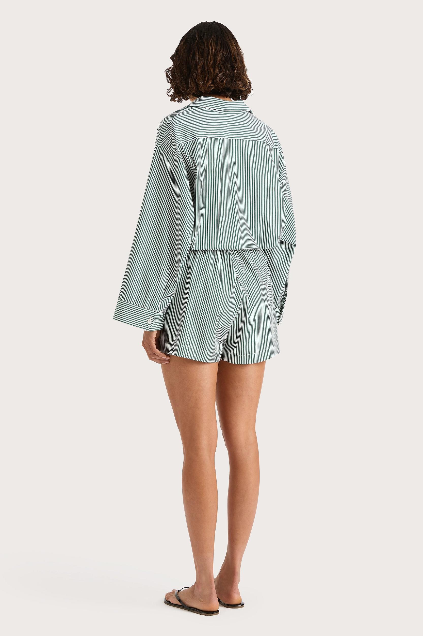 Marianne Midi Dress Green Stripe Product Image