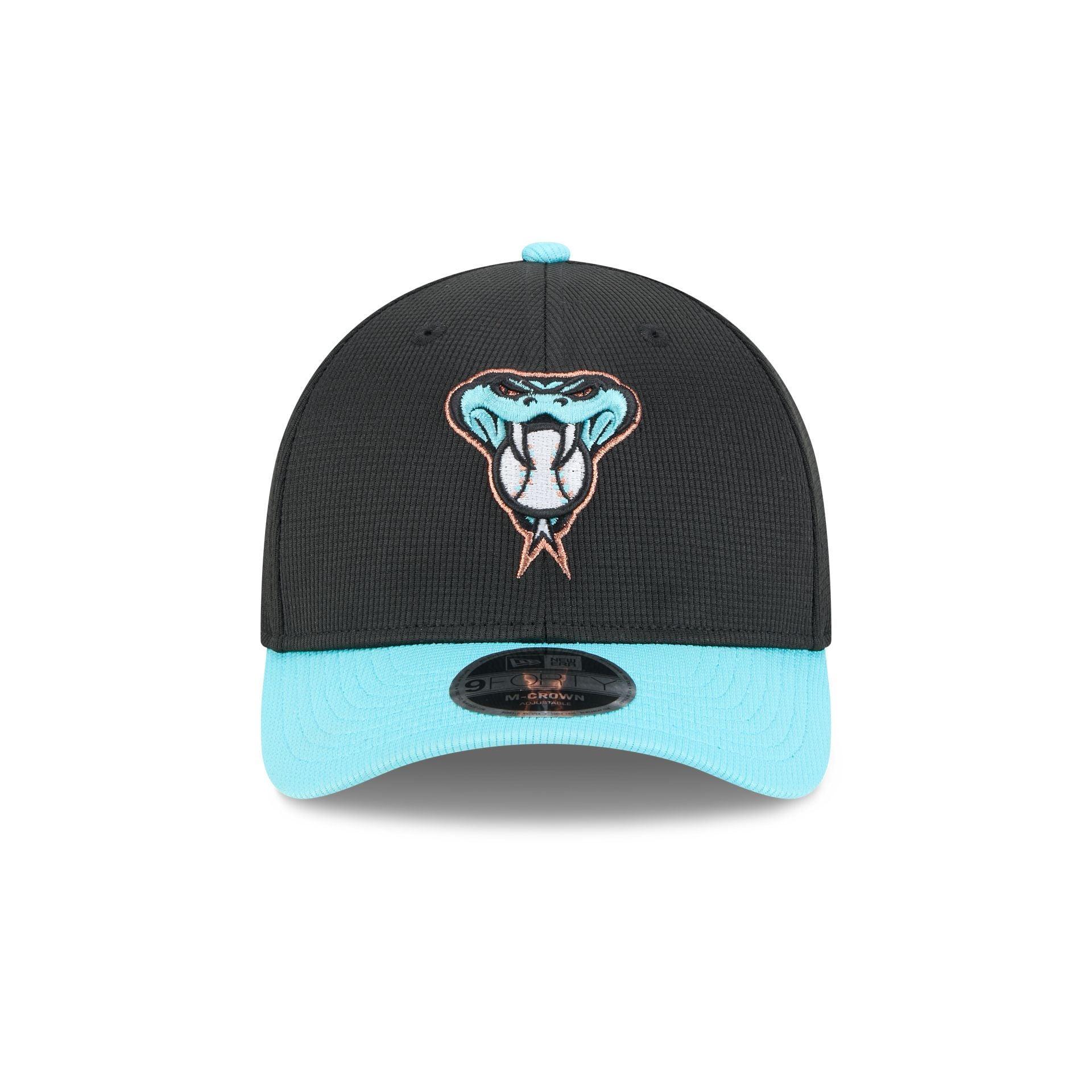 Arizona Diamondbacks 2025 Batting Practice 9FORTY M-Crown Snapback Hat Male Product Image