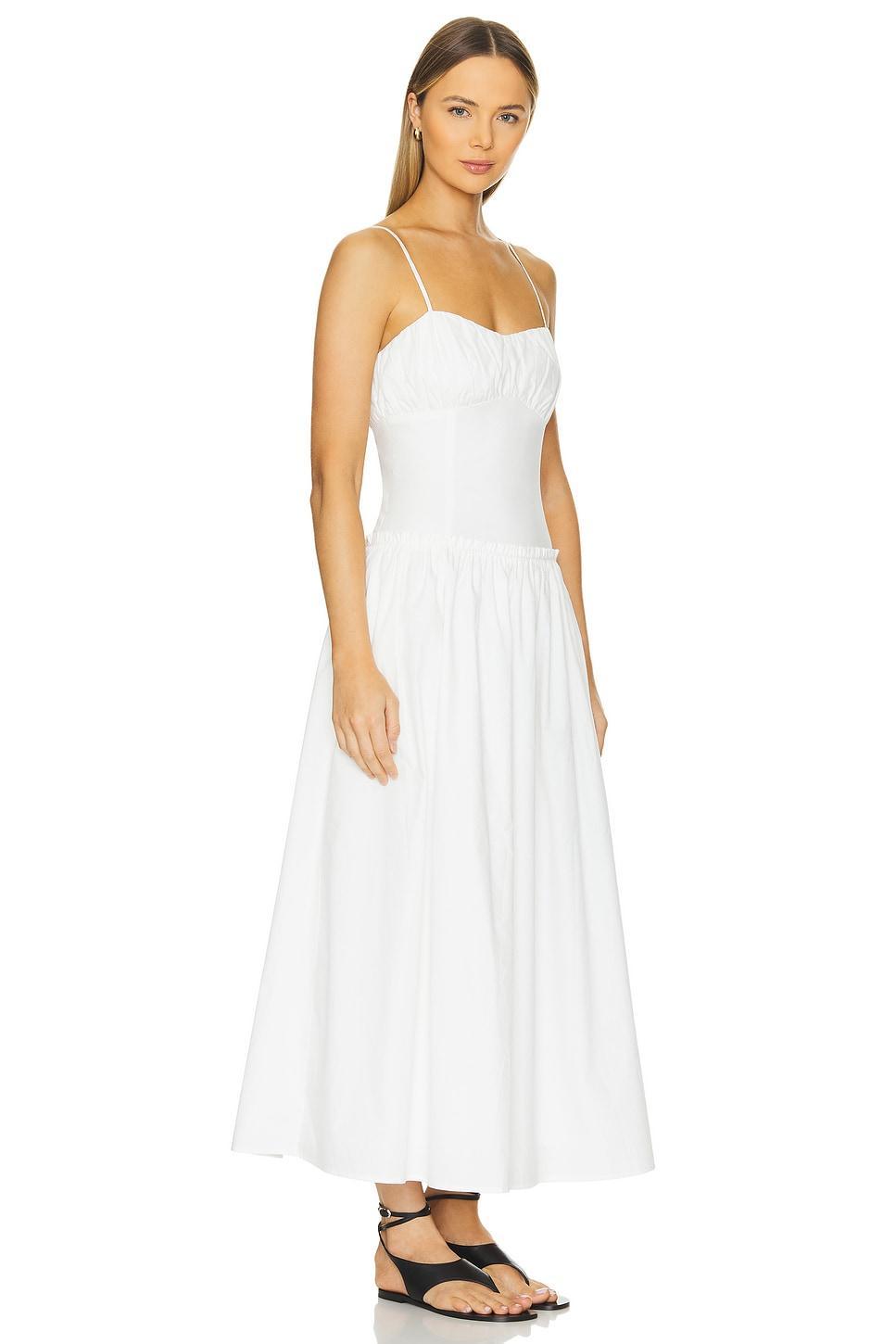 Maison Corset Dress Line & Dot Product Image