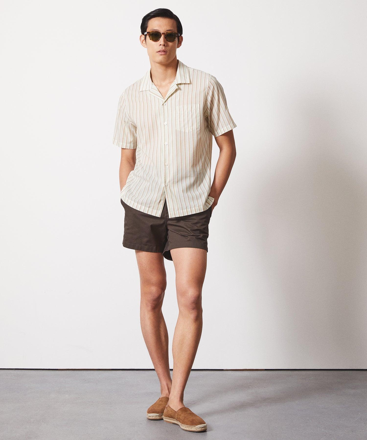 Summerweight Cafe Shirt in Pistachio Stripe Product Image