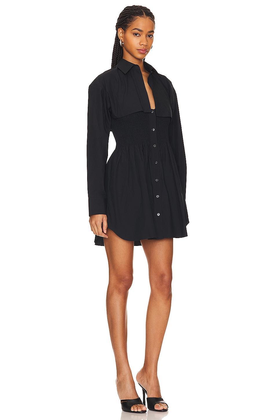 Smocked Mini Dress Alexander Wang Product Image