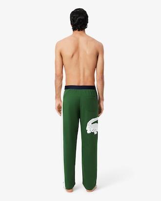 Printed Fleece Loungewear Pants Product Image