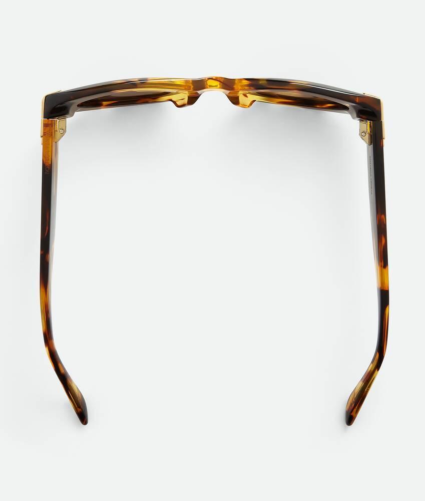 Mitre Oval Sunglasses in Havana/brown Product Image
