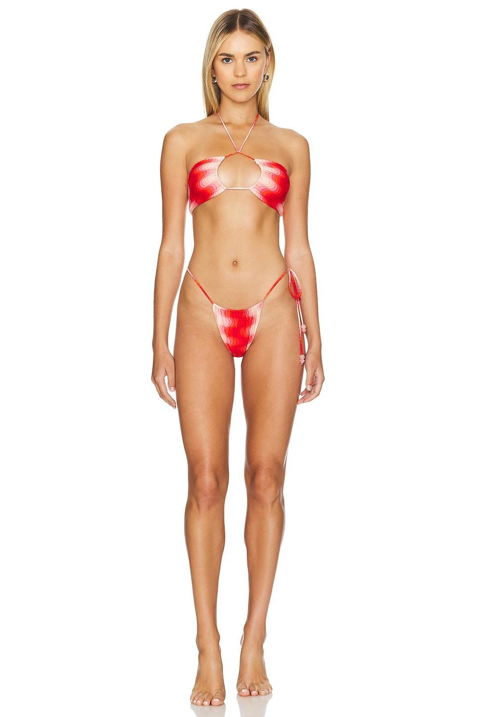 Livia Bikini Bottom DEVON WINDSOR Product Image
