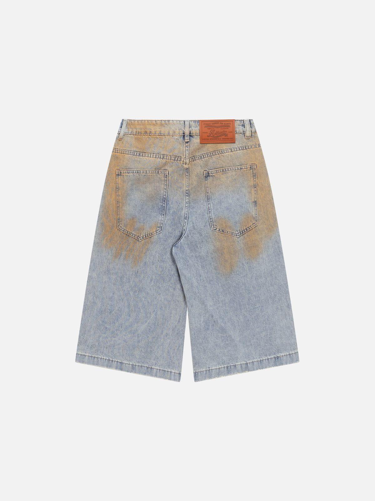 Aelfric Eden Dirt Color Longline Jorts Product Image