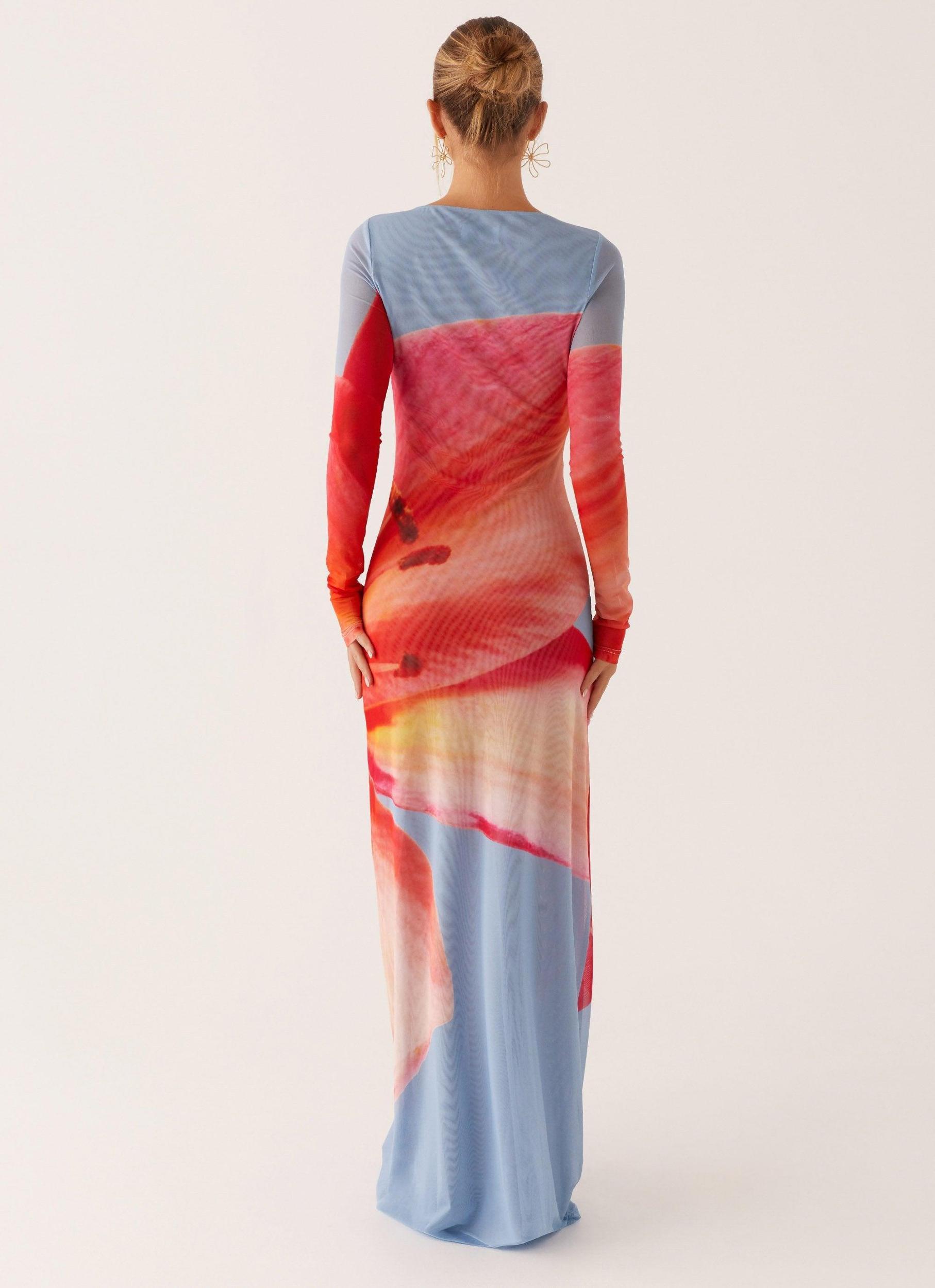 Jilly Maxi Dress - Blue Floral Product Image