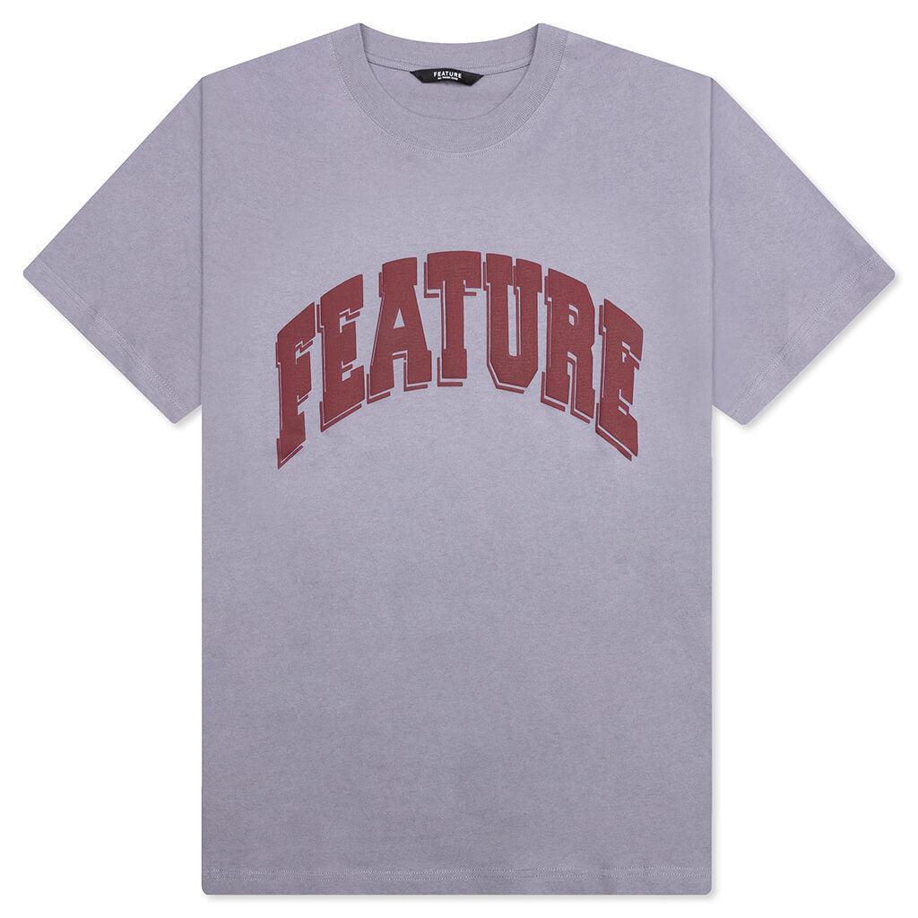 Collegiate Arch Tee - Falcon Male Product Image
