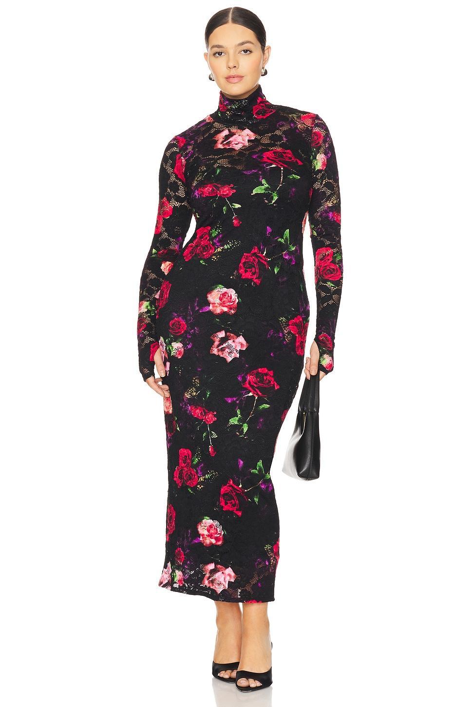 Shailene Lace Dress AFRM Product Image