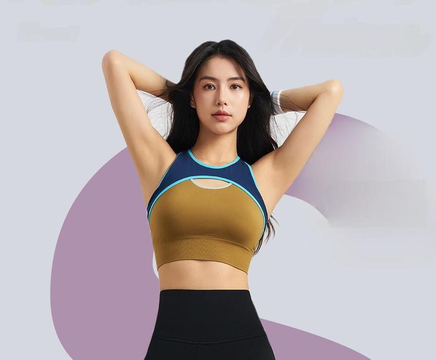 High Waist Plain Yoga Leggings Product Image