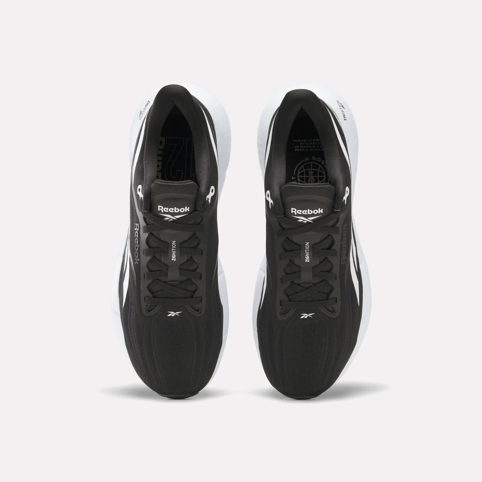 Men's Zignition Running Shoes Product Image