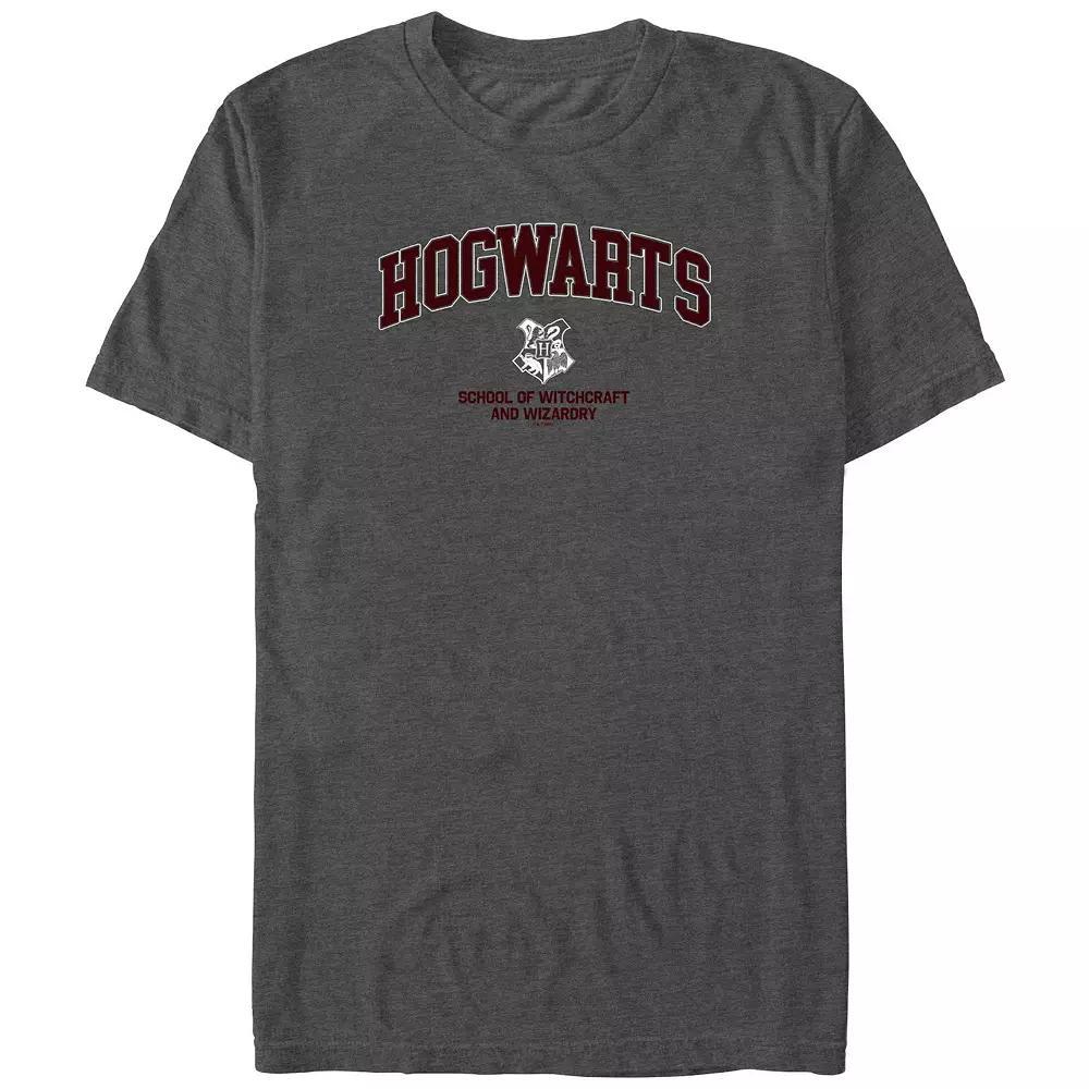 Disney's The Lion King Men's No Worries Walk Embroidered Graphic Tee, Size: Large, Grey Product Image