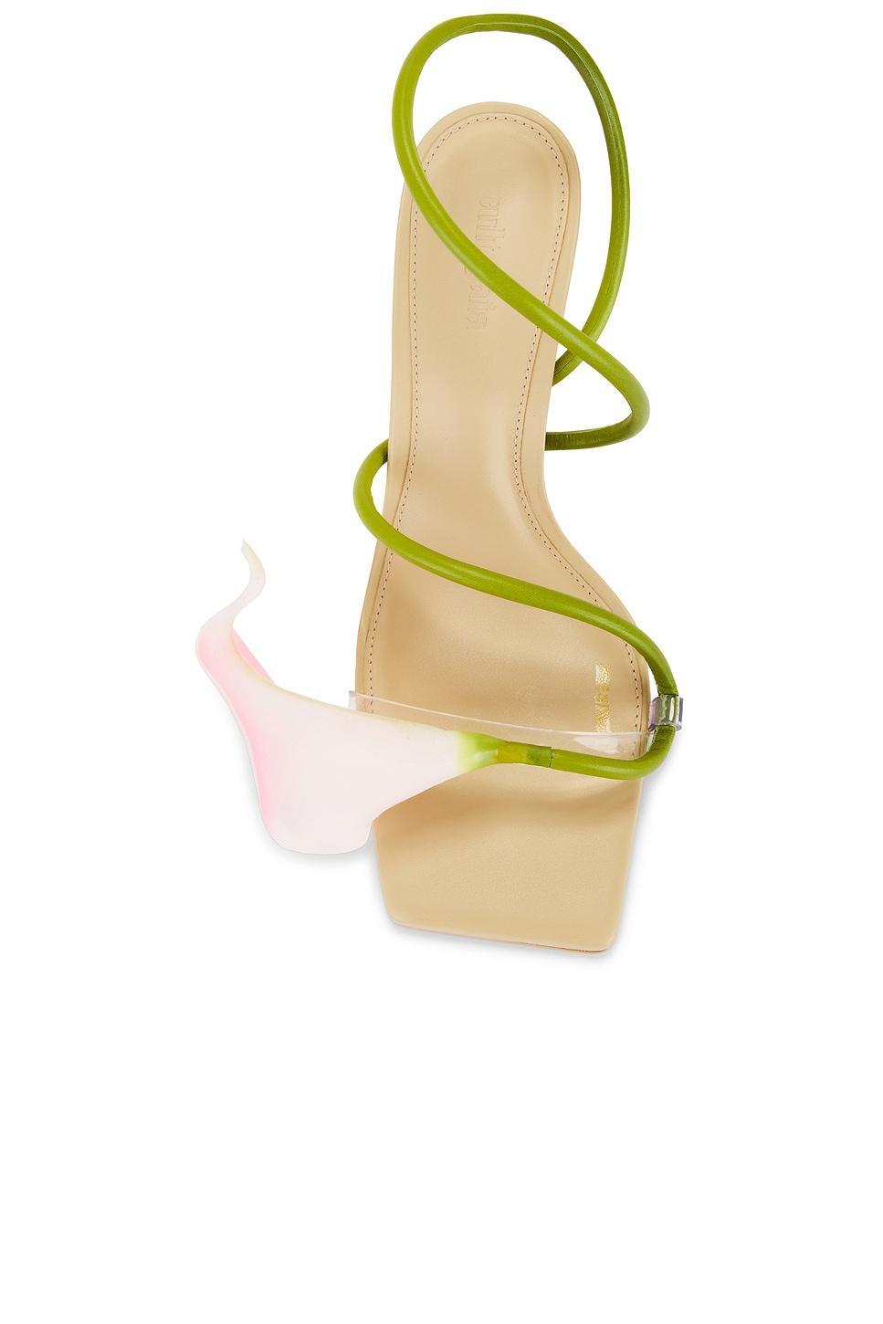 Ria Sandal Cult Gaia Product Image