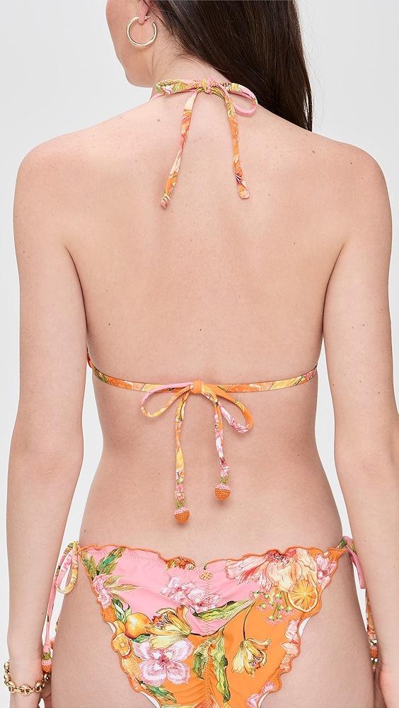PQ Swim Embroidered Lettuce Edge Triangle Bikini Top | Shopbop Product Image