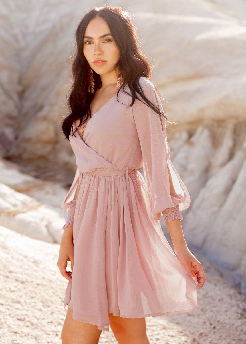 Ani Dress in Nude Pink Female Product Image