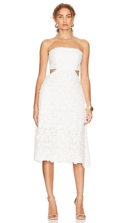 Amor Meu Dress Waimari Product Image