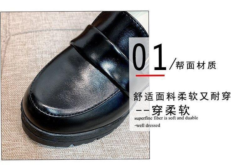 Plain Platform Chunky Heel Loafers Product Image