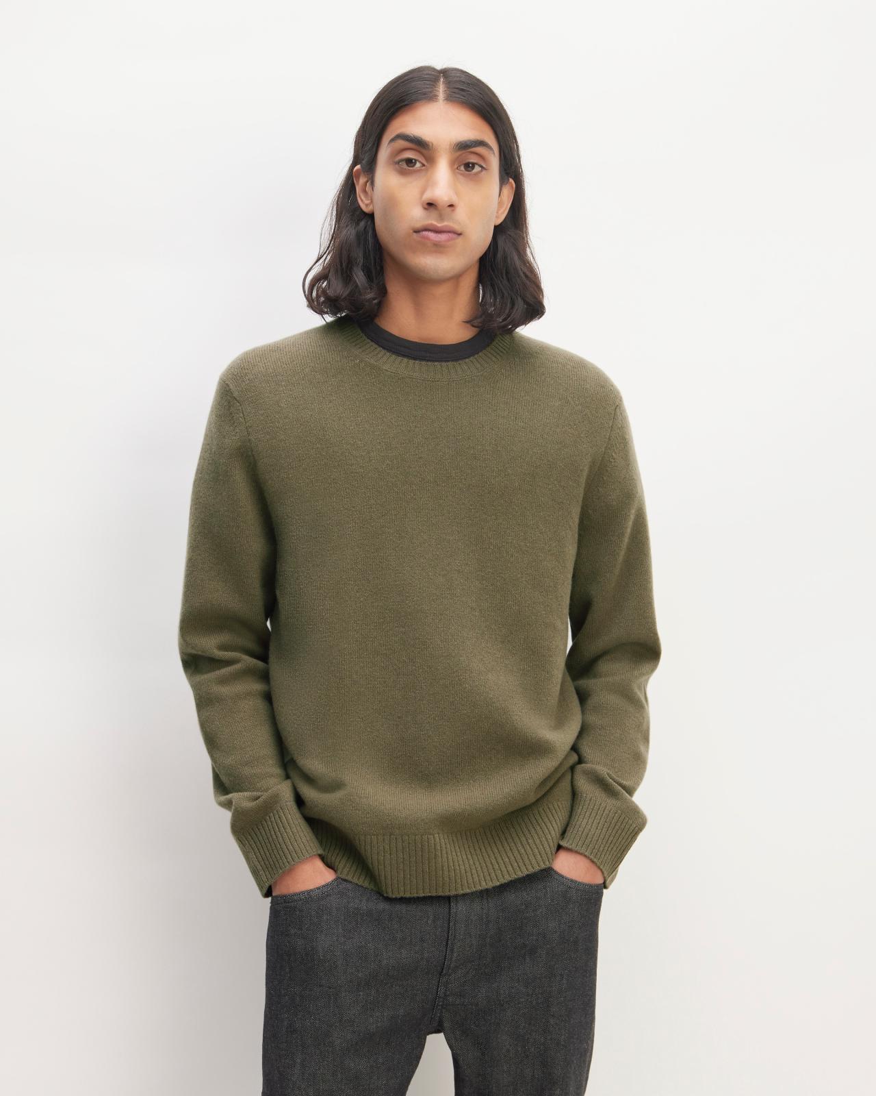 Mens Premium Merino Crew Neck Sweater by Everlane Product Image